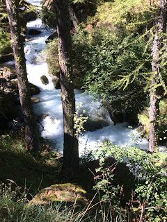 Le Petit Tabuc en danger (Hautes-Alpes) !