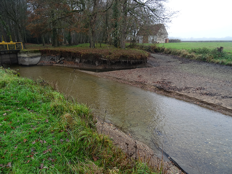 La continuité écologique de l’Arnon (Cher) rétablie au moulin de Lomoy