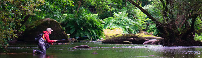Salon des pêches à la mouche en Bretagne, rendez-vous les 24 et 25 février 2018