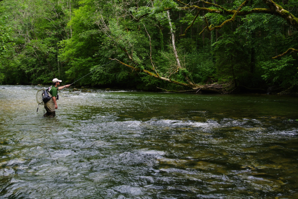 Jura, la fédération a besoin de vous pour participer à une étude pour chiffrer l&rsquo;impact économique lié à la pêche