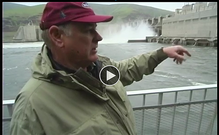 La snake river menacée par plusieurs barrages