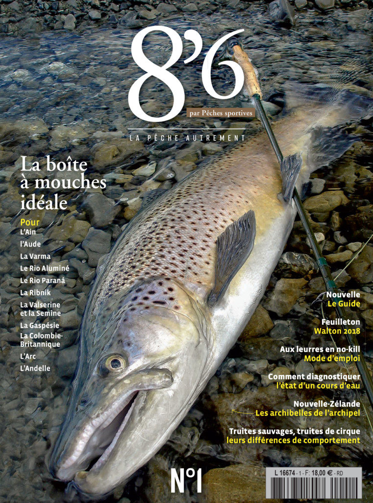 8'6 numérique n°1