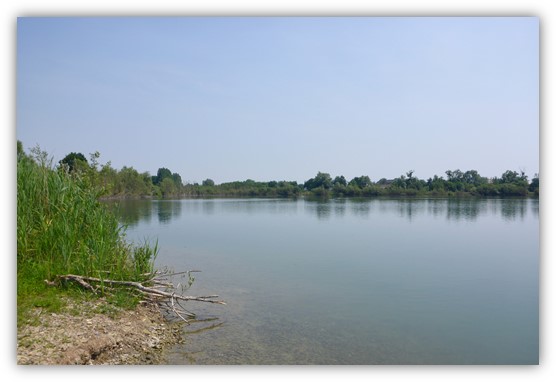 Aidez à l&rsquo;acquisition du site de Vatroye en quelques clics