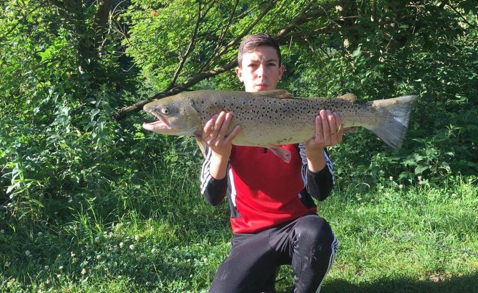 Aisne, la première truite de mer du département !
