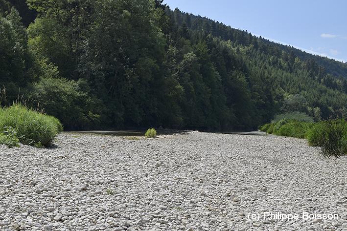 (c) Philippe Boisson