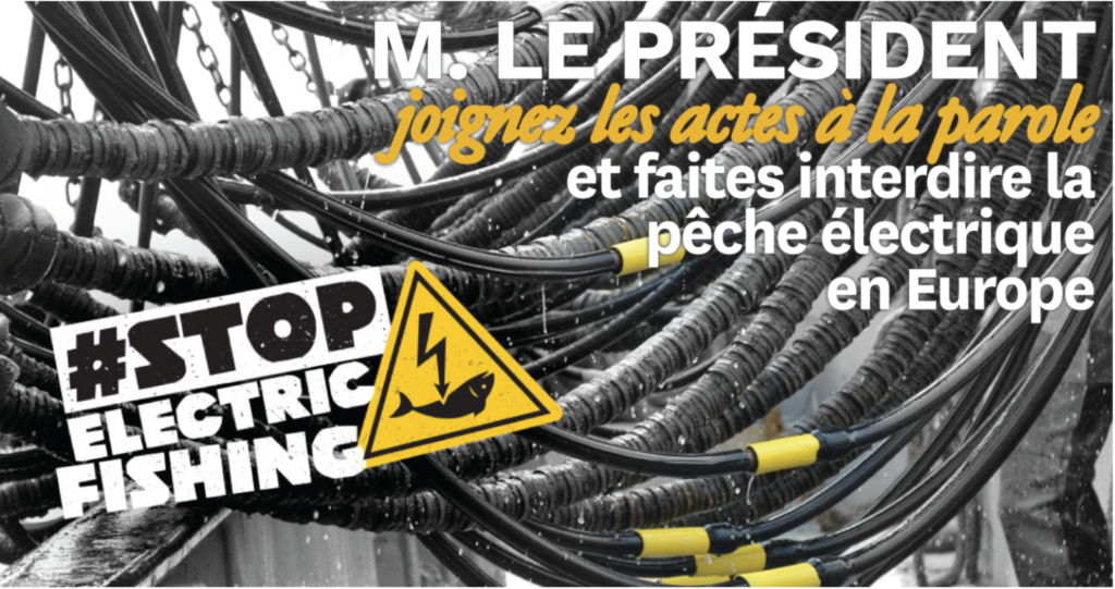 Pêche électrique en mer, petits arrangements entre amis…