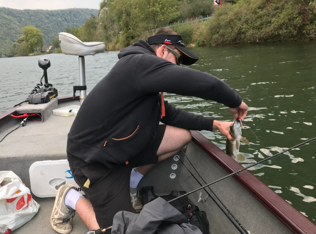 La date de l’ouverture de la pêche des carnassiers incertaine !