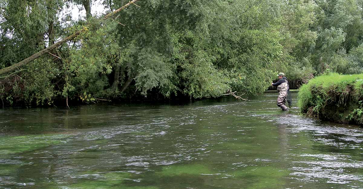 Pêches Sportives Vidéo n°56 : Comment limiter le dragage de vos mouches sèches