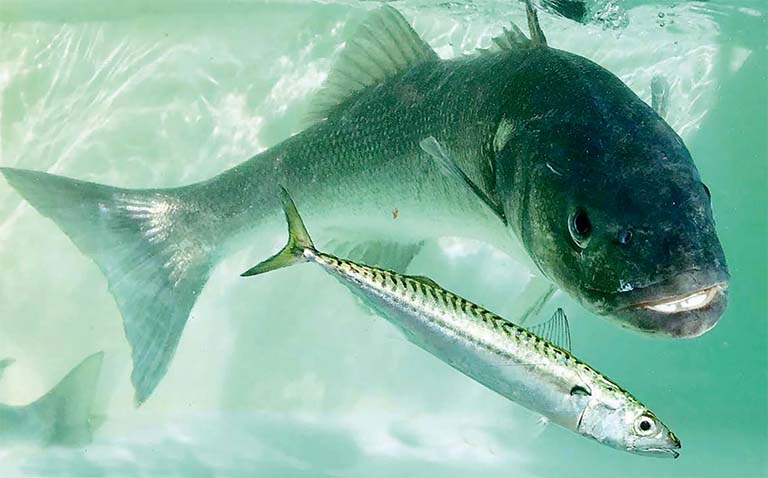 Réglementation bar 2020, plus de restrictions pour la zone sud