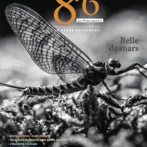 8’6 numérique n°8