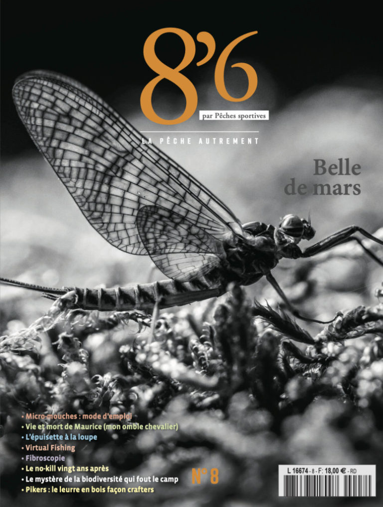 8’6 numérique n°8