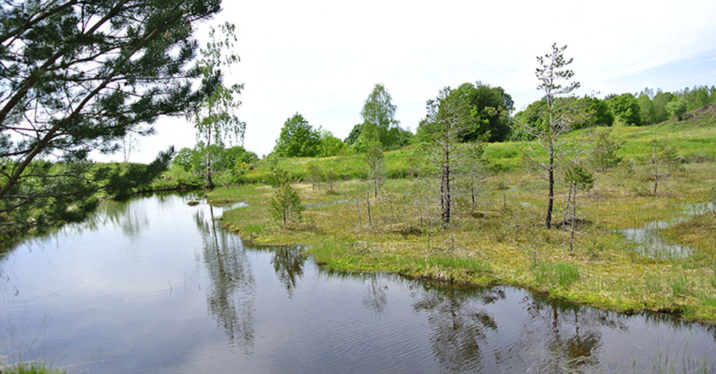 Cellule Demeter, convoqué à la gendarmerie pour une interview