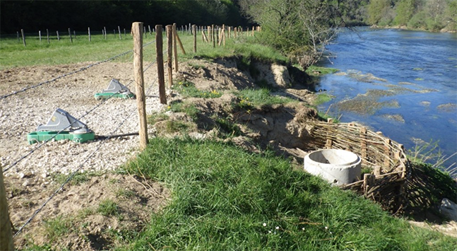 Les berges de la Loue à Quingey protégées des bovins