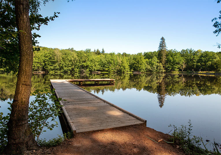 Un nouveau un réservoir mouche près d&rsquo;Autun (71)