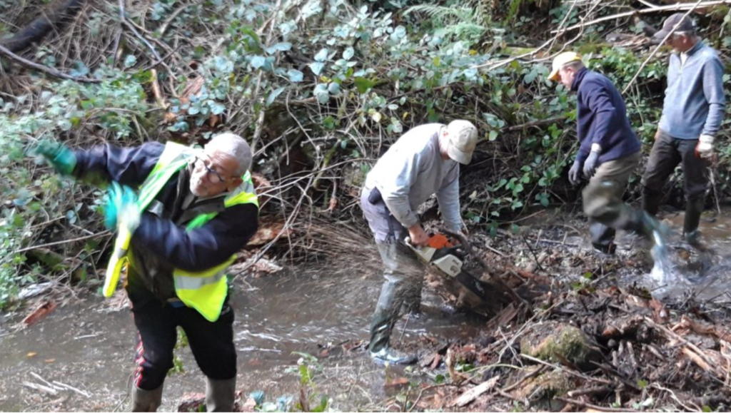 Loire, Le Villeneuve reprend vie !