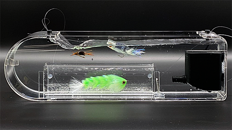 The Fly Tester, à contre courant