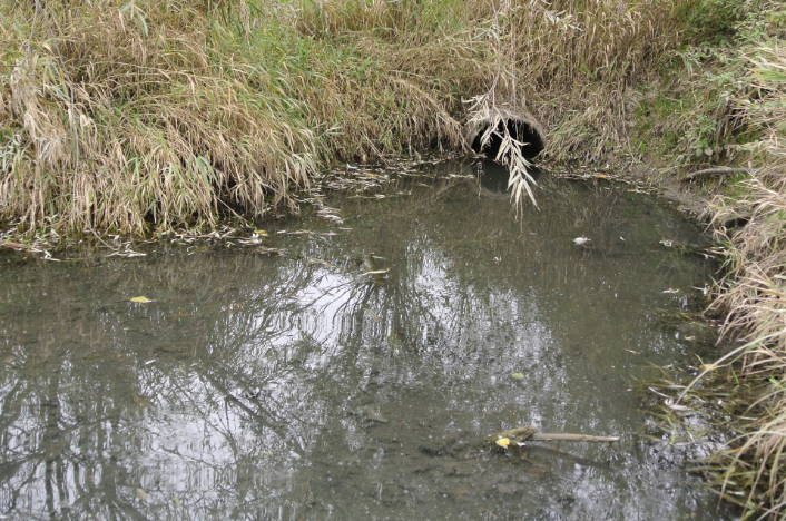 Covid : explosion de la consommation de lingettes, les rivières trinquent !
