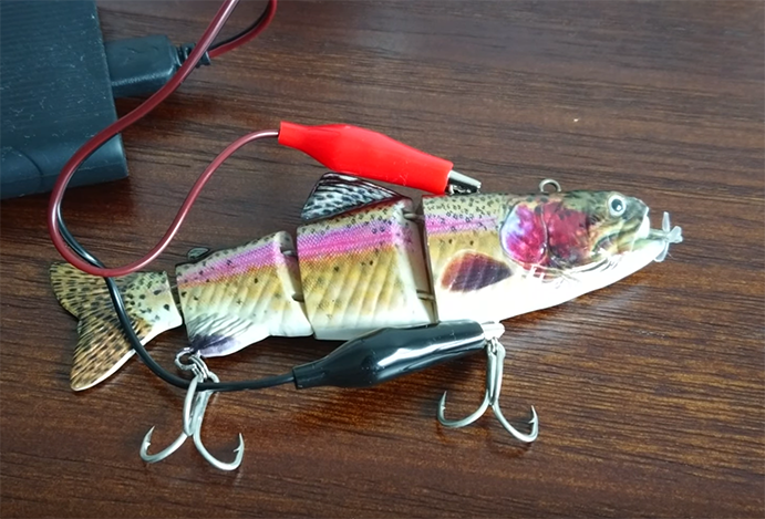 Le leurre électrique qui nage tout seul… et n&rsquo;importe comment