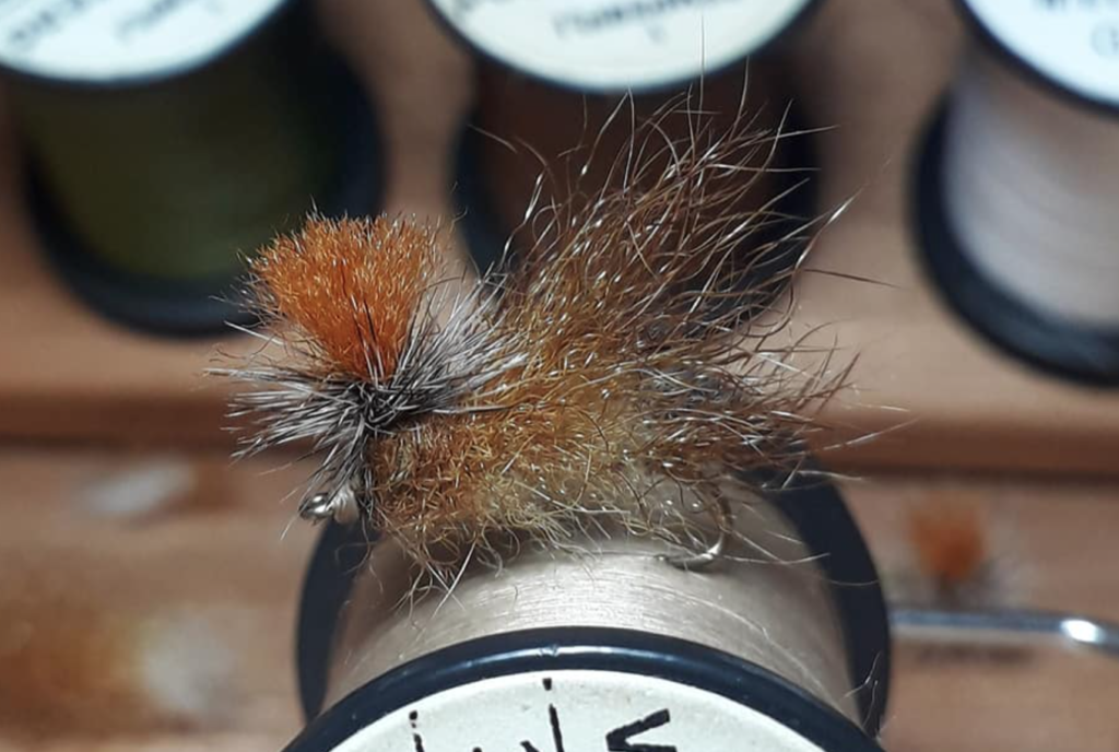 Manuel Lopez Rodriguez Malorro, le coloriste