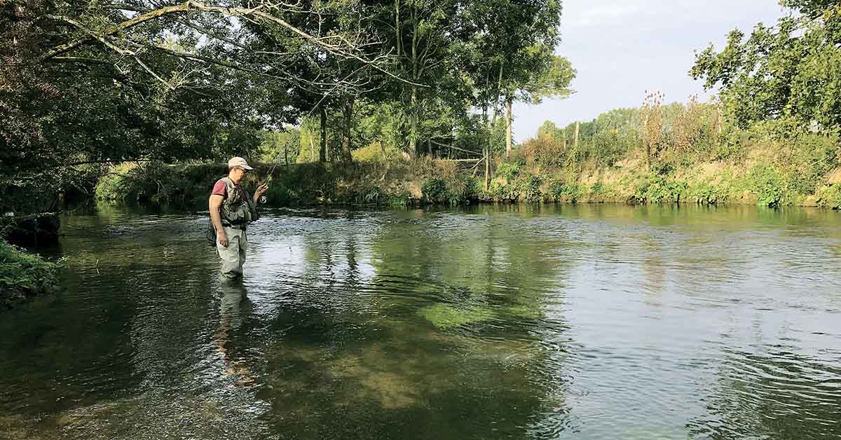 Nymphe au fil. L’internationale du bas de ligne