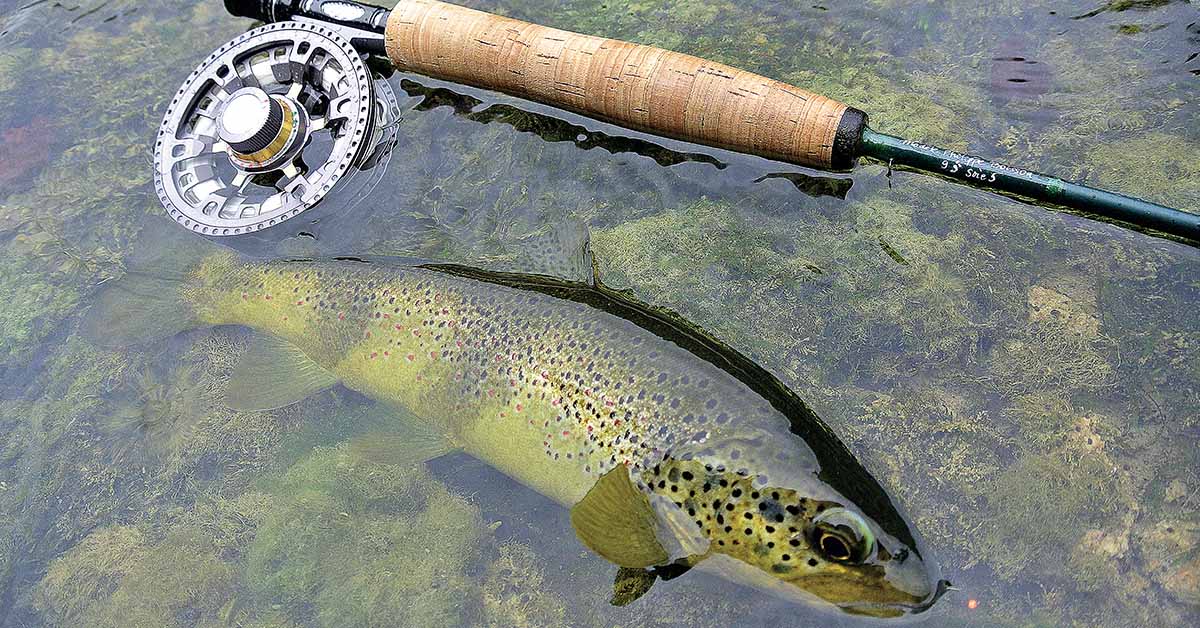 Un coup d&rsquo;avance