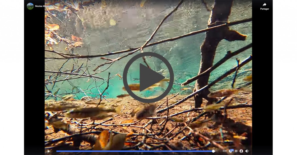 Ici commence la vie… et la pêche à la mouche