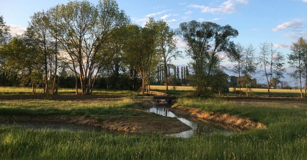 Le Collectif Rivières Naturelles a lancé une pétition visant à protéger nos rivières