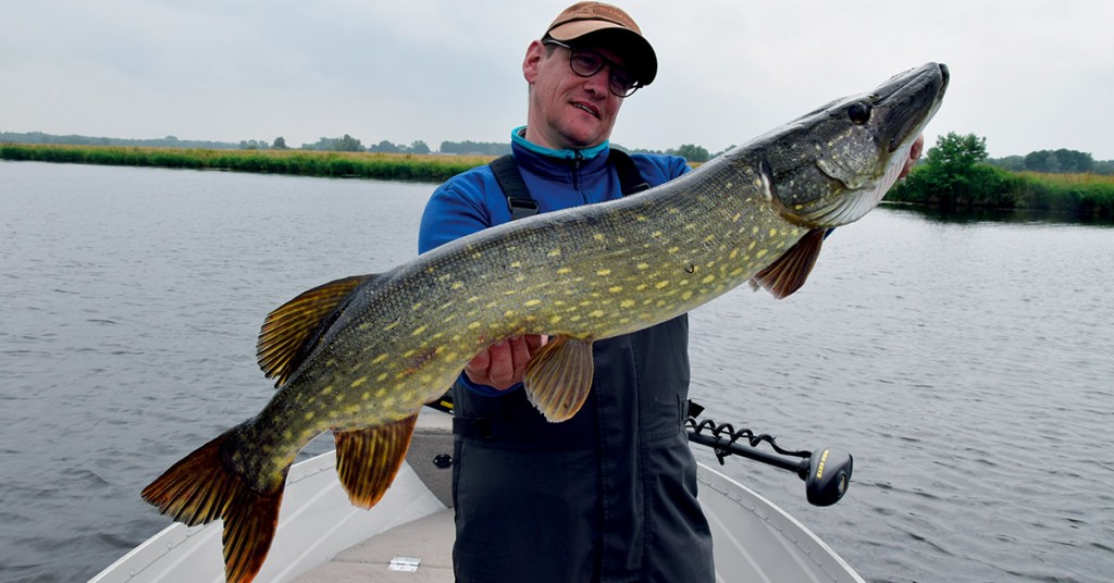 N°7. La recherche active des carnassiers (power fishing)