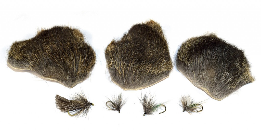 Exploration métatarsienne