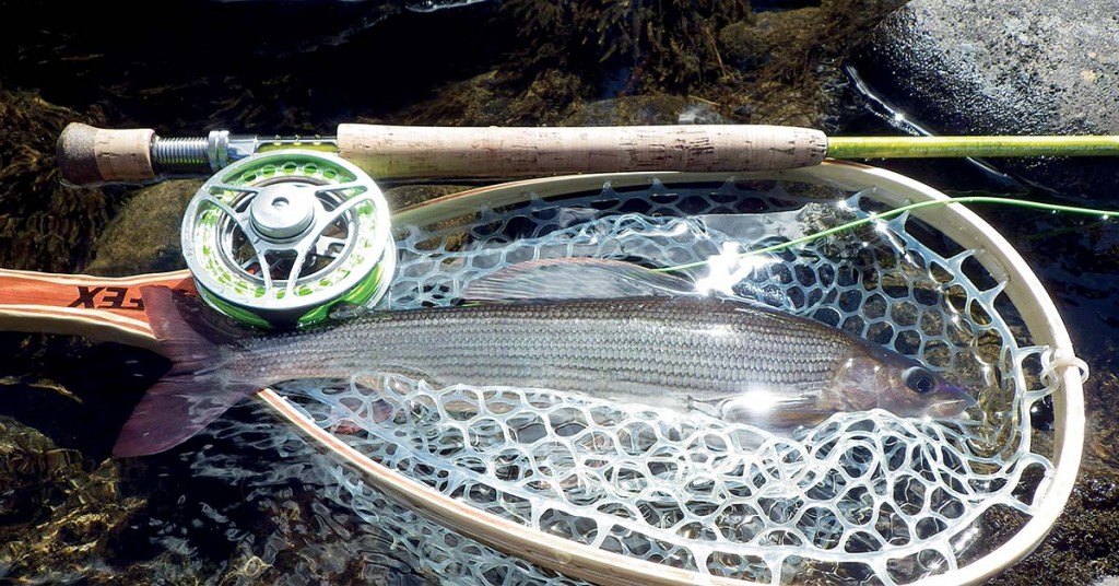 Testez vos connaissances de la pêche avec ce quizz !