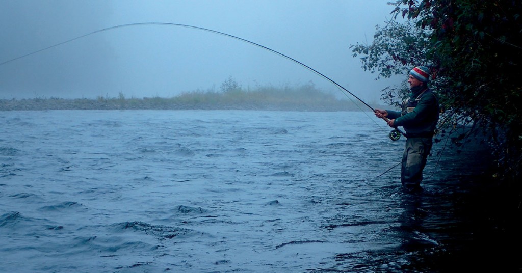 Hydrobiologie. Le nouveau discours de la méthode