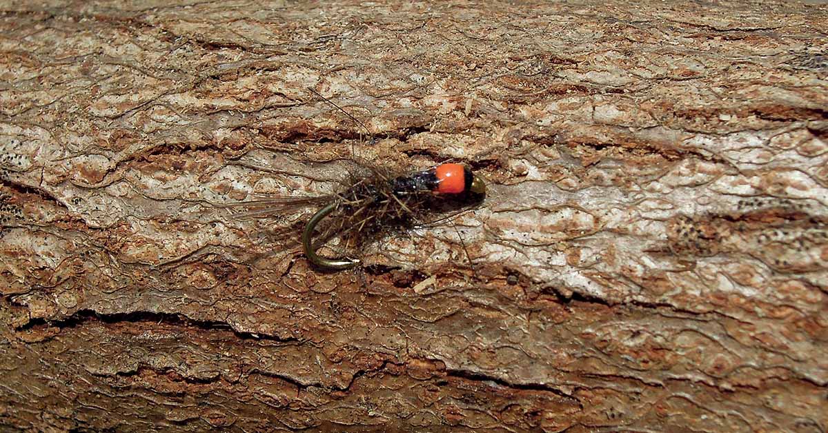 La nymphe qui déclenche