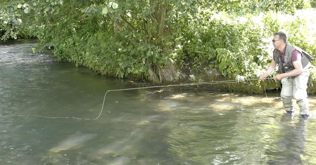 Pêches Sportives Vidéo n° 63 : Comment pêcher à la mouche sèche sous les frondaisons avec Nicolas Michel
