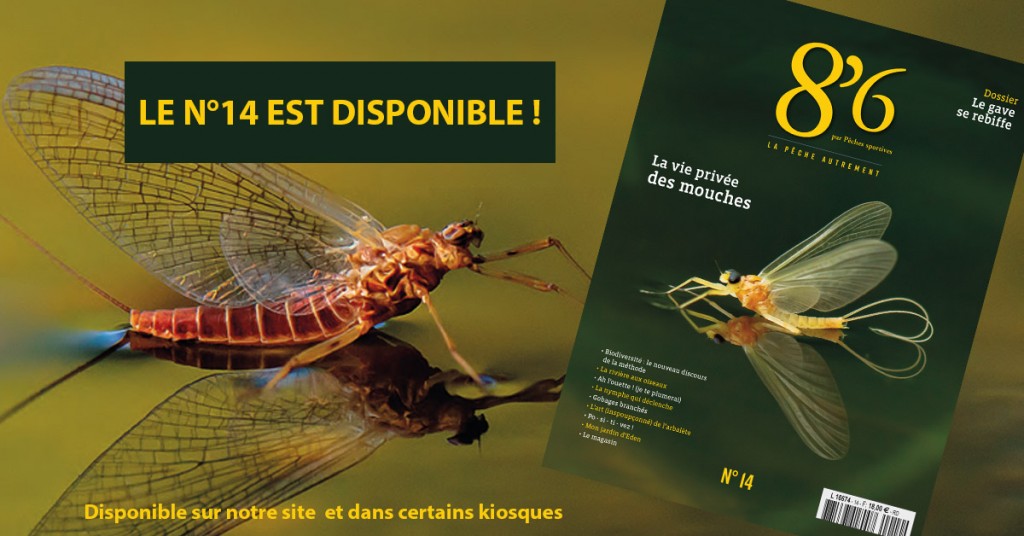 Le numéro 14 de 8’6 est disponible !