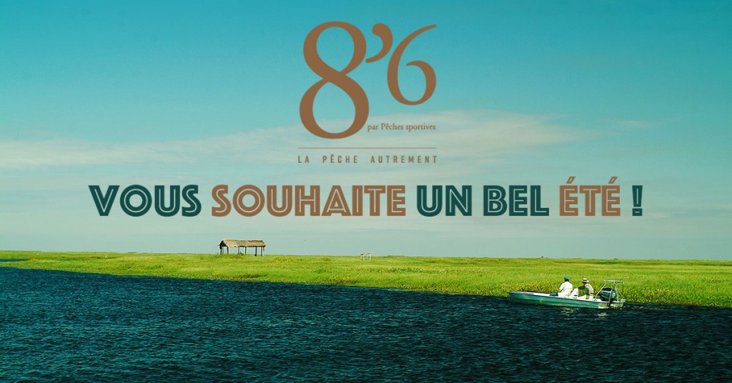 Profitez bien de l’été !