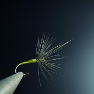 Cul dans l’eau variante