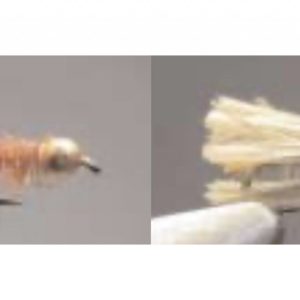 Billotte + Peute Tag "Ecdyo"