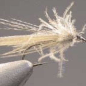 Sedge CDC et pardo