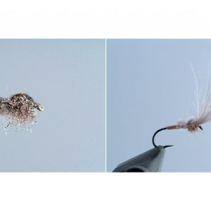 Subimago pour l'ombre + Emergente "universelle"