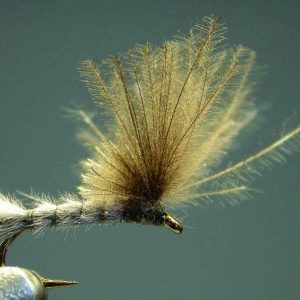 “Voilier simplissime”