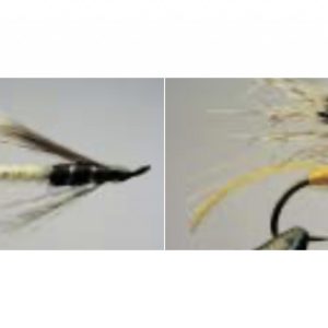 Chinchilla + Paonne claire