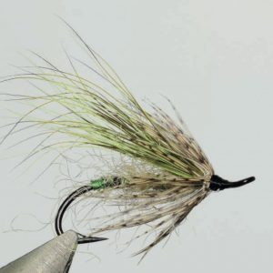 Corps en bourre de sanglier