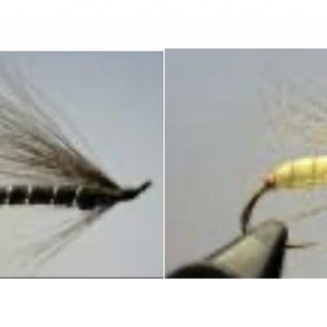 La Noire + Phryganymphe