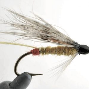 Traditionnelle bretonne