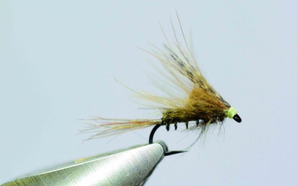 March brown émergente