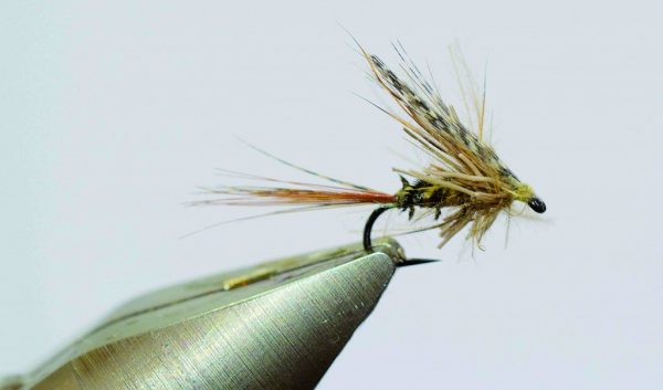 Subimago de march brown