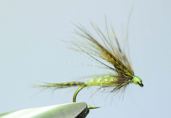 Mouche de mai émergente