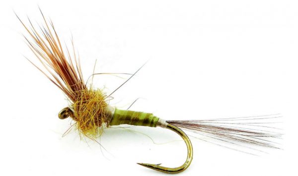 Comparadum (version originale)