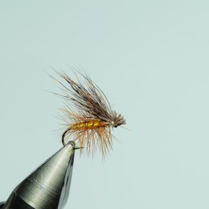 La elk wing caddis