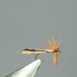 Sedge avec une collerette en hackle